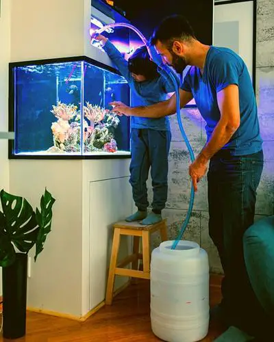 how to clean tank after fish dies