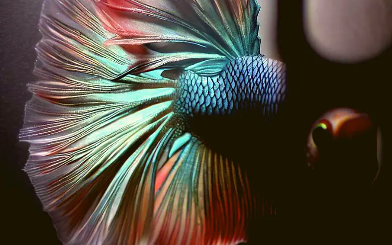 5 Clever Ways to Stop Betta Fish Hiding Behind Filter