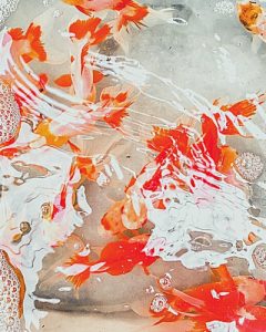 Do Goldfish Lay Eggs or Live Birth? (Discover the Truth!)