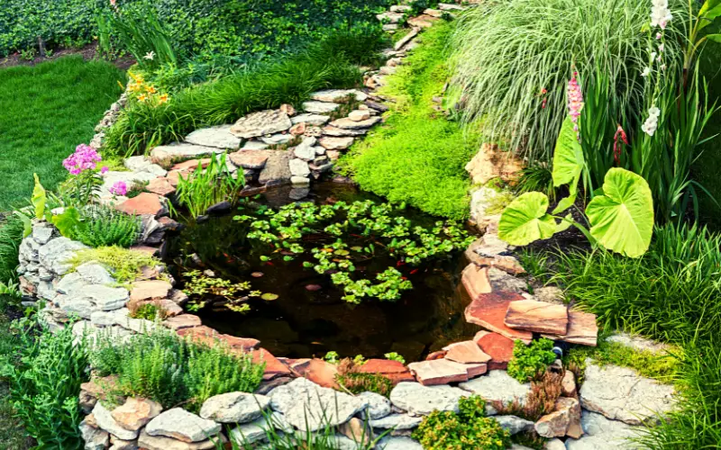 Goldfish Ponds