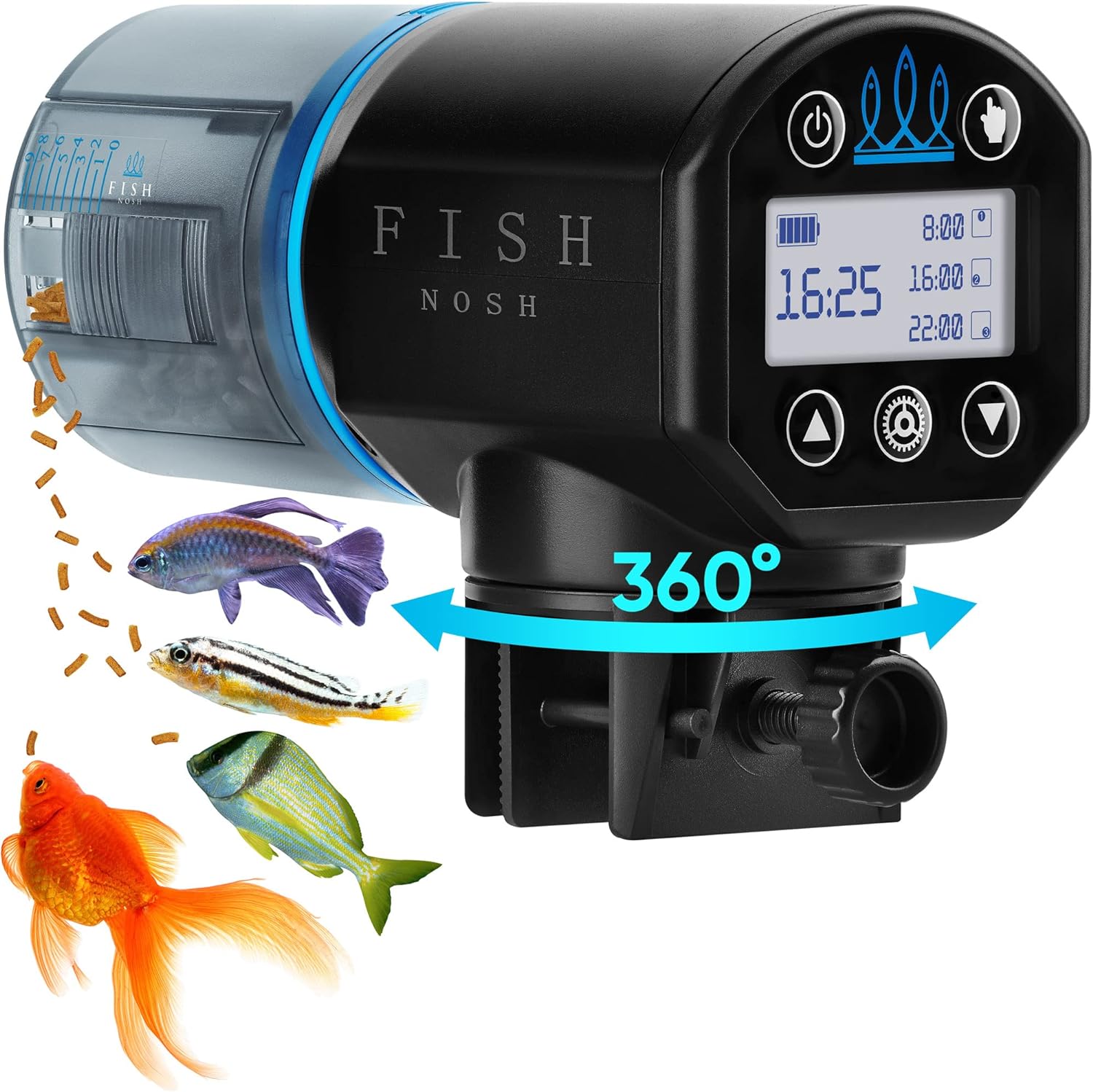 Feeding Betta Fish on Vacation (Best Practices & Tips)